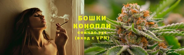 дмт Дмитровск
