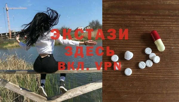 дмт Дмитровск