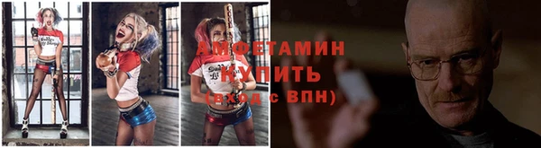 дмт Дмитровск