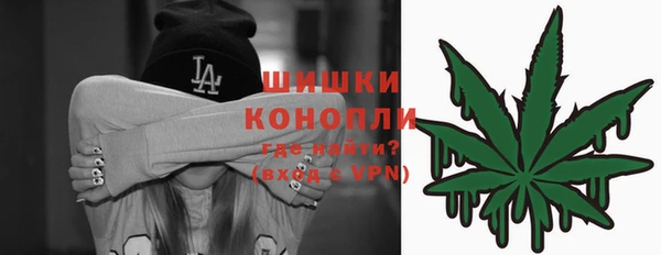 сатива Дмитров