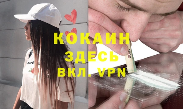 сатива Дмитров